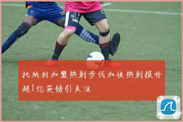 托纳利加盟热刺步伐加快热刺报价超1亿英镑引关注