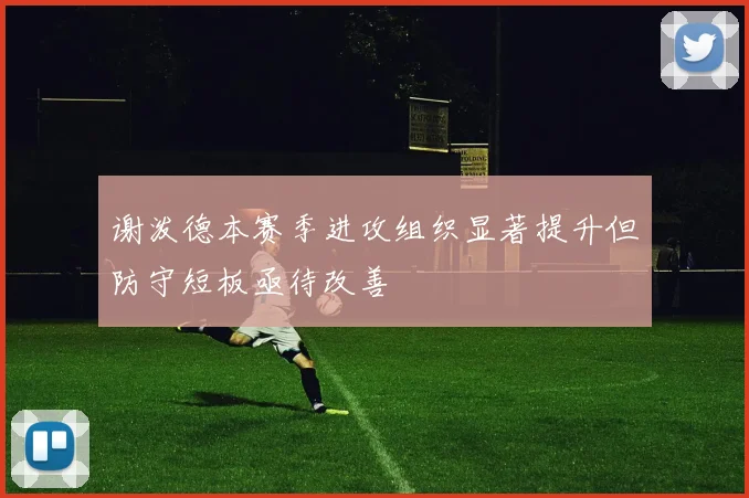 谢泼德本赛季进攻组织显著提升但防守短板亟待改善